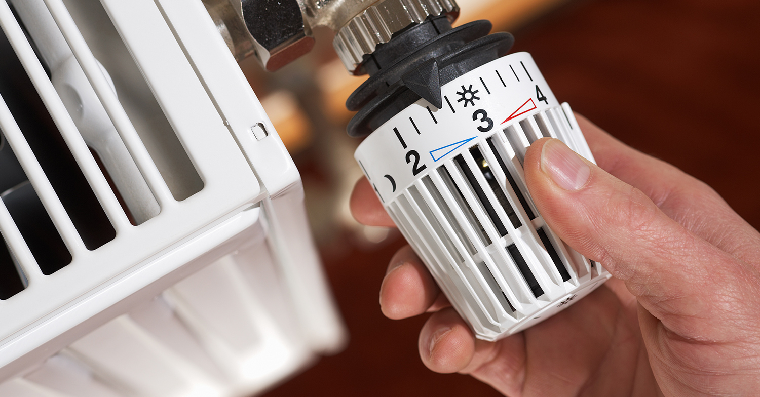 Winterzeit = Schimmelzeit