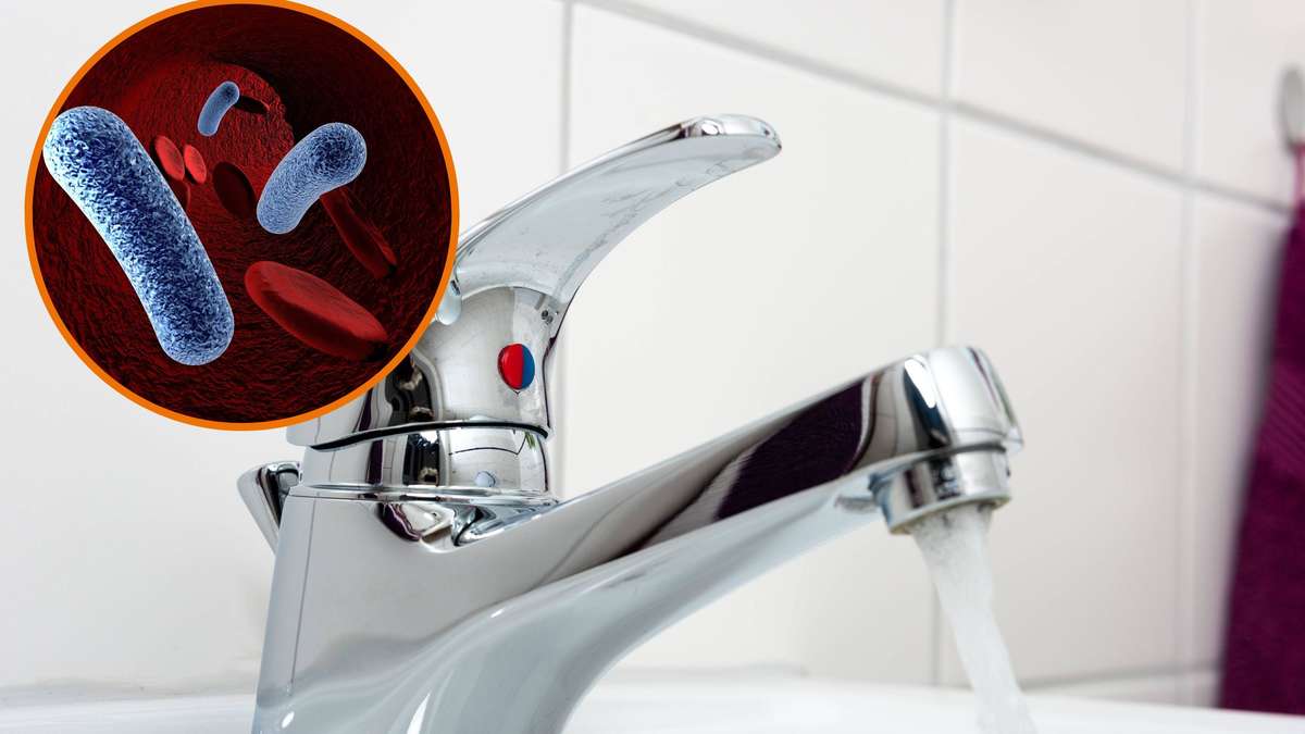 Anstehende Trinkwasseruntersuchungen auf Legionellen in unseren Beständen